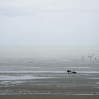 pêche à la crevette, photographie de pierre moreau, 120x80 